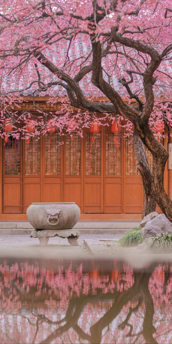Spring Is Not Far, Tiefosi, Huzhou, Zhejiang Province In China (cr  猪甜菜的旅行手记)