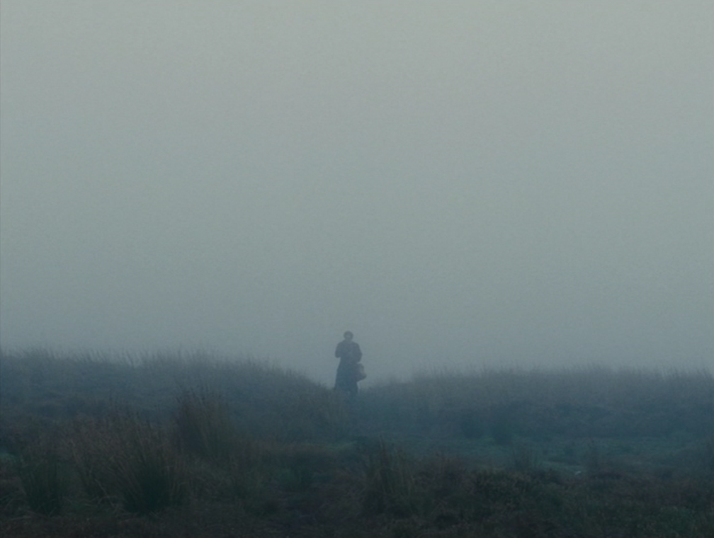 dreamyfilms:  wuthering heights (2011, dir. andrea arnold)