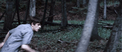 do-androidsdreamof-electricsheep:  Tucker and Dale vs Evil