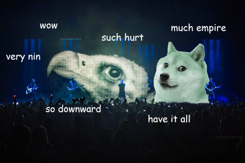 Is it just me or is Nine Inch Nails&rsquo; vulture during &ldquo;Hurt&rdquo; basically a doge