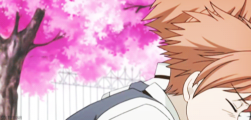 other fujoshi
