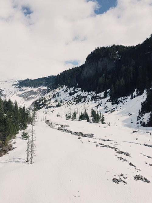 My parents and their friends wanted to go to Mount Rainier, so I tagged along with them. It was a go