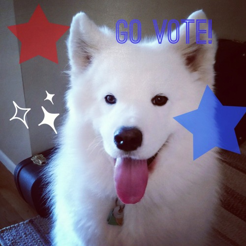 It&rsquo;s election day! I&rsquo;d vote if I could, but you know, no opposable thumbs. So ge