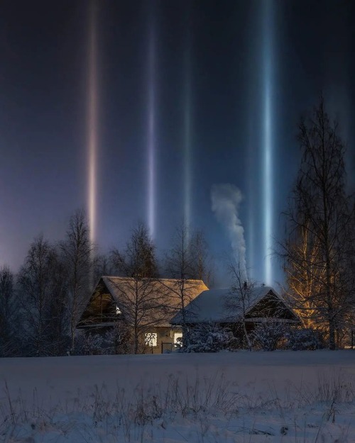 Light pillars in Vsevolozhsk, Leningrad OblastPhoto: chudnov.photo