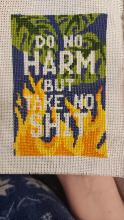 crossstitchworld: My latest self-drafted project… do you think I need to outline the words? bycjfr