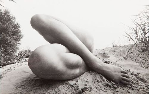 fragrantblossoms: Lech Morawski (1939 - 1995), The fall of an ordinary thing.