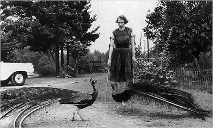 alyssadehayes:  Kudzu Creep: I made a Southern Gothic playlist for your Halloween