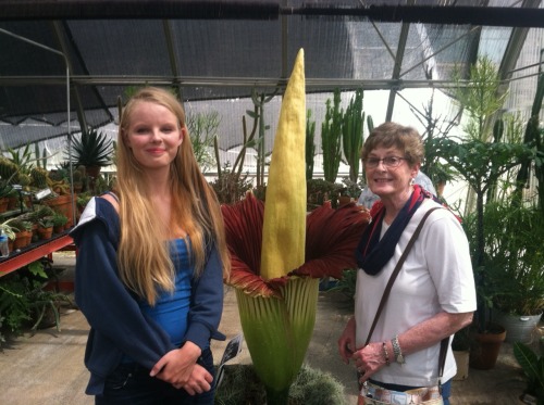 Me, my grandma, and my friend the corpse flower( anexpansionlikegold look )