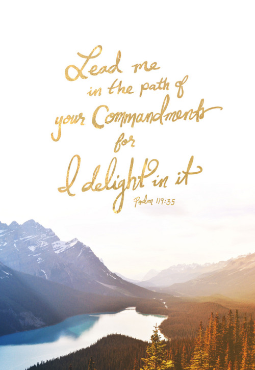 psalm 119:35// wheels-of-faith typography blog