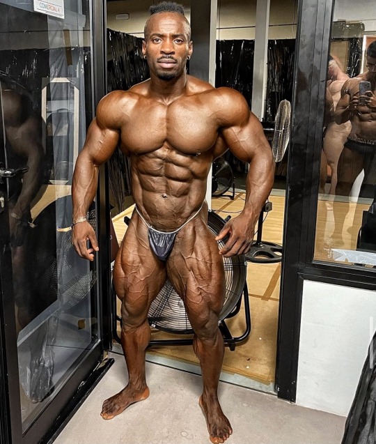 Massive Muscle Man Pec Bounce Massive Muscle Man Pec Bounce