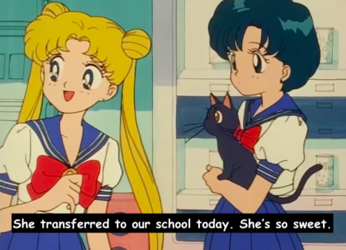 sailormoonsub:I simply cannot stop collecting beautiful girls. I accumulate them like a bucket gathe