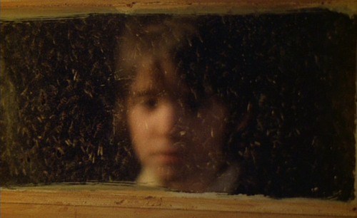 guillaume-en-egypte:The Spirit of the Beehive dir. Víctor Erice (1973)