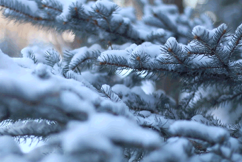 Fun And Easy Habits To Develop As A Pagan!