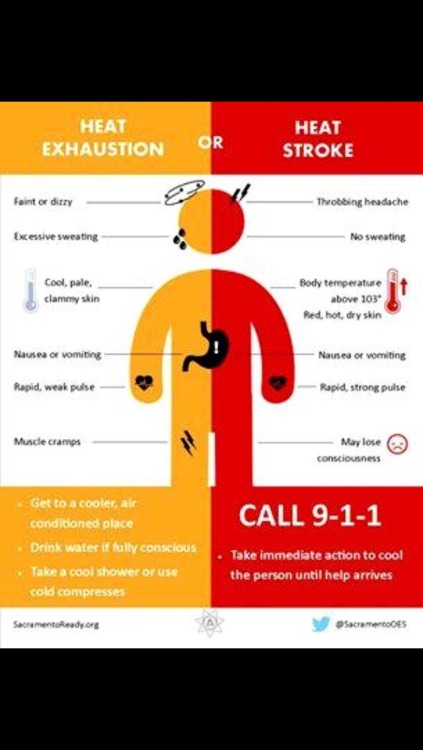 kingofhearts709: paramedicschool: Heat exhaustion or Heat stroke? This is so important though, becau