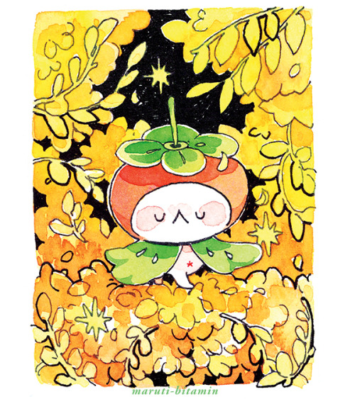 Persimmon On The Forest Floor