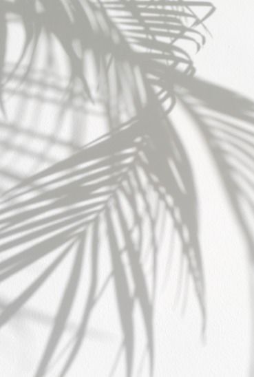 fadebygrey:  Fade by Grey | EST 2014