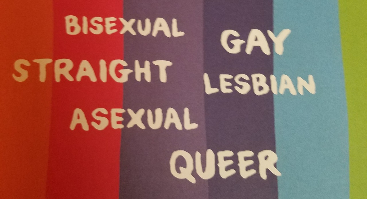 aroacepagans: queerbert:  aroacepagans:   Holy shit. Holy fuck. I got my little sister the book “sex is a funny word” because she’s at that age where she’s reading a lot of puberty books and I’d heard that this one was lgbtq+ friendly, but I