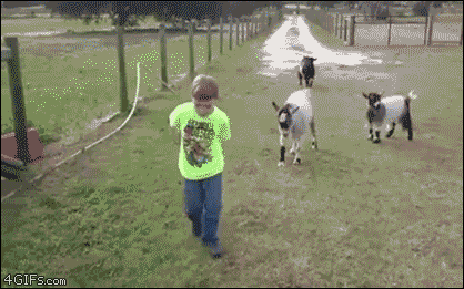 For animated GIFs