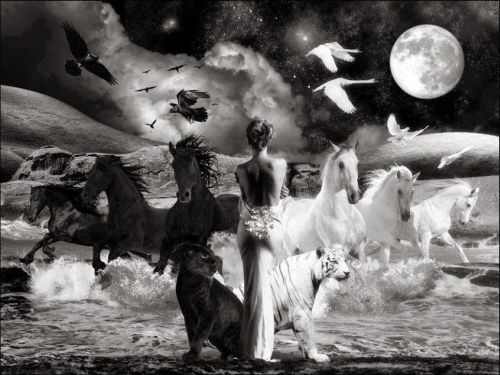 mariafranorge:  The Language of companionshipis a unique one. To reach someone through