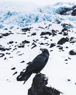 quiet-nymph:Photography by Donal James Boyd Þórsmörk, Iceland 🌋   