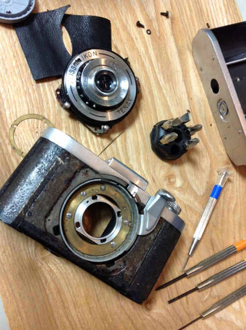 ponrdiary:  Zeiss Ikon TENAX 35mmフィルムだけど正方形の写真が取れる小ぶりなカメラ。 六千円で手にいれて整備しました。