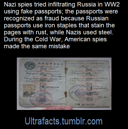 kompanie-mutter:ultrafacts:Sources: [x] [x]Follow Ultrafacts for more facts!“this isn’t nearly shitt