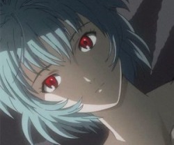 peacewithlove:NGE|Rei AyanamiPhoto Credit to original owners.