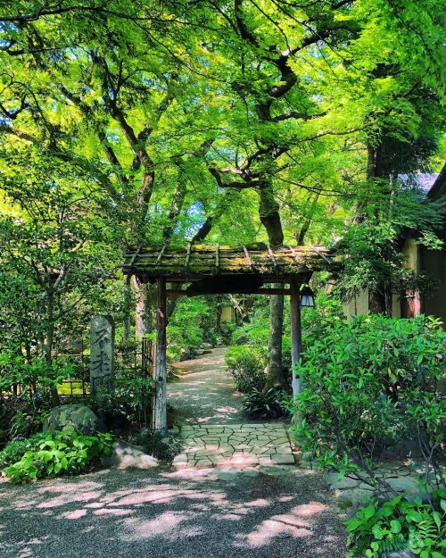 山ばな平八茶屋 [ 京都市左京区 ] Yamabana Heihachijaya, Kyoto #みどりの日なので緑色の画像を貼る . . (昨日紹介文も書こうと思ったんだけど疲れて書けなかったので