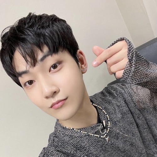 MON SELCA ICONS