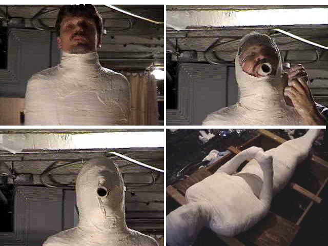 hardcase222:  mummification 