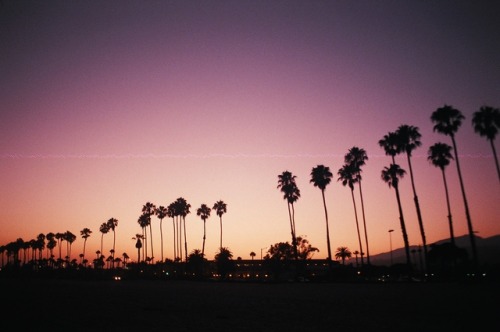 kelseyahayden: santa barbara sunsets on film instagram