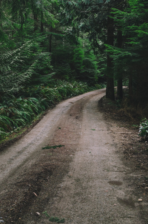 natureac:  This blog will make you feel at peace