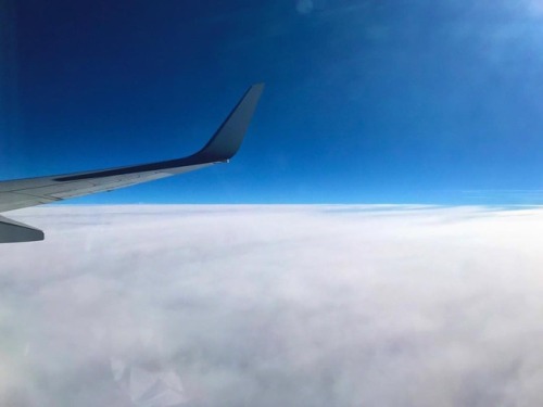 Somewhere with my head in the clouds… ☁️☁️☁️⁣ ⁣ ⁣ ⁣ ⁣ ⁣ ⁣ #clouds #flying #sky #fly #plane #t