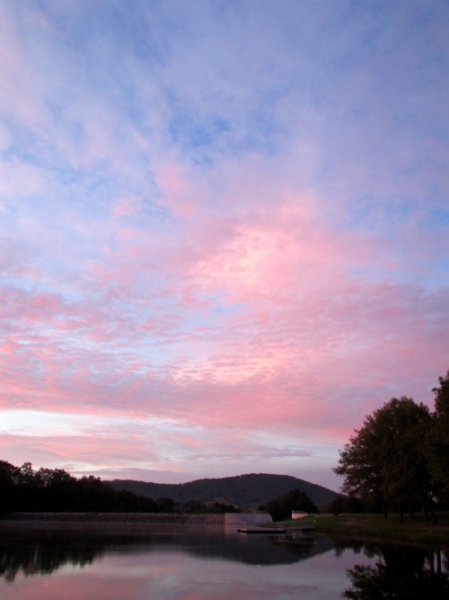 Off to the side of yesterday’s pigment-explosion sunrise, some pale pink clouds hung behind a net of