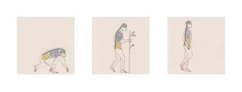 Issue XV. The Science Edition - Harriet Lee-Merrion