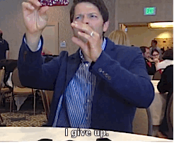 callbobbysinger:  MISHA STOP (x) 