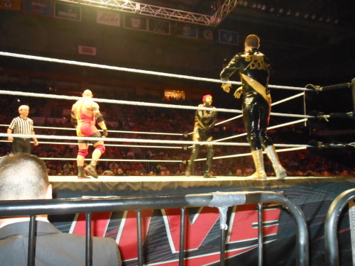 Porn rollinslayer:  WWE Live; June 20th, 2014 photos