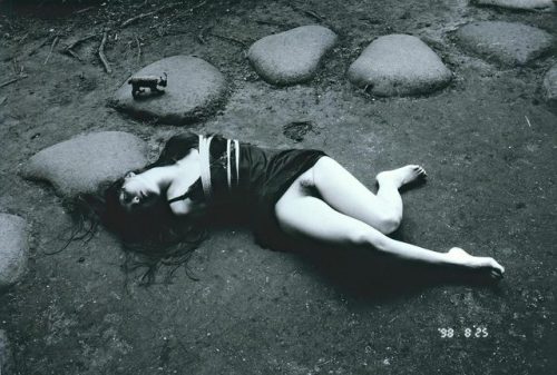 grayest-966:  the-night-picture-collector: Nobuyoshi Araki ىـ  captured with stun dart gun. Nice hun