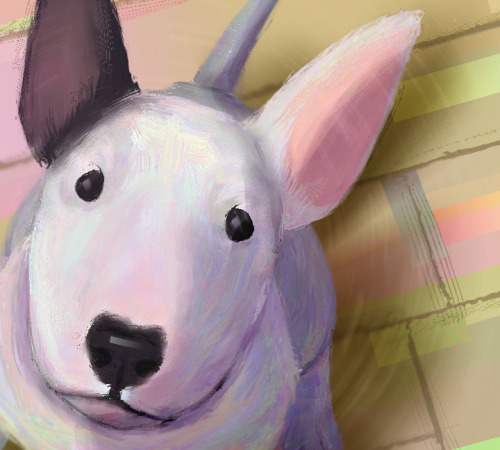 bull terrier