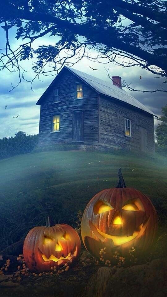 fineapple4u:  ❤️🎃