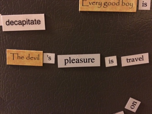 our house has four fridge poetry sets: erotic fridge poetry (gift from my mother), star trek fridge 