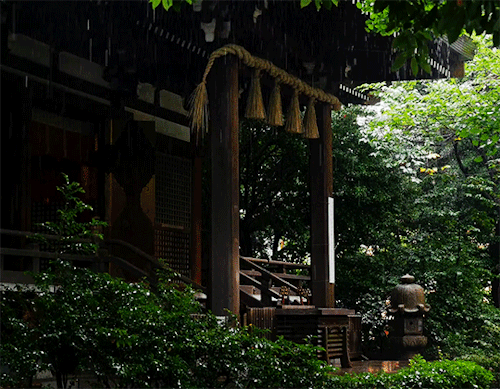 boozerman:Tokyo Okusawa Shrine