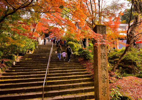 竈門神社