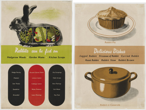 British World War II propaganda ads encouraging citizens to raise rabbits for food to save on ration