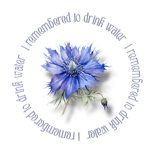 A Nigella Sativa flower with blue text in a circle around it that reads: I remembered to drink water.