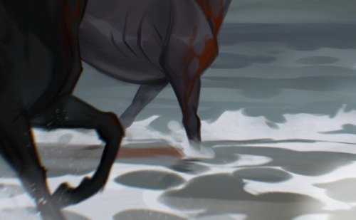 More Art For My The Scorpio Races Fanart Project :) These Were Just Gone Check/ Mood Exploration Pieces,