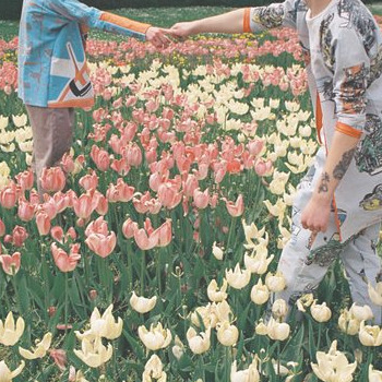 sgamoodboards:mlm moodboards → floral mlm aestheticrequested by anonymous