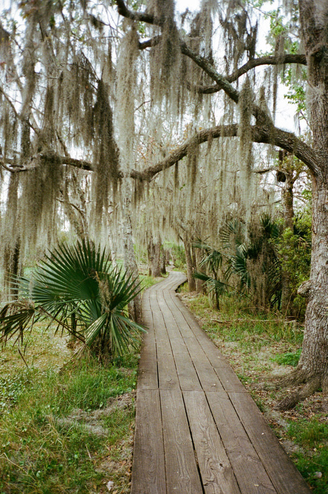 Ooti Billeaud — Jean Lafitte National Historical Park & Preserve...