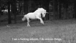 pleasuredom4you:  ;-)  Majestic Unicorn :D