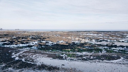 annsom:Saint Vaast ✨ Bonne journée#annsom #love #sea #sun #beach #beautiful #manche #fashion #fash